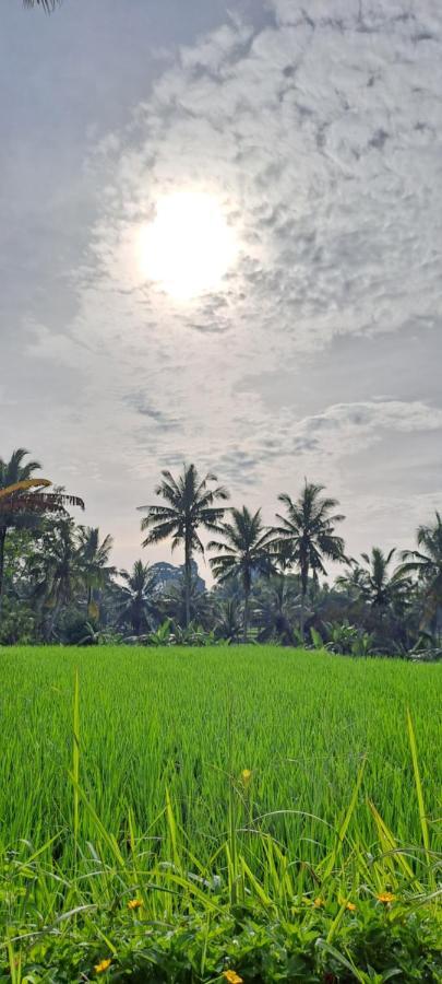 Galang Hari Villa Ubud Kültér fotó