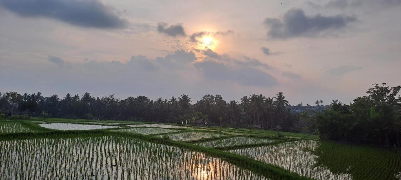 Galang Hari Villa Ubud Kültér fotó