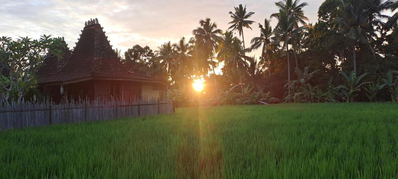 Galang Hari Villa Ubud Kültér fotó
