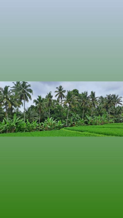Galang Hari Villa Ubud Kültér fotó