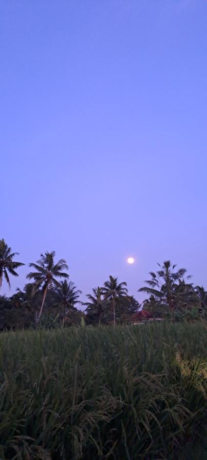 Galang Hari Villa Ubud Kültér fotó