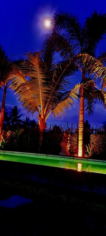 Galang Hari Villa Ubud Kültér fotó