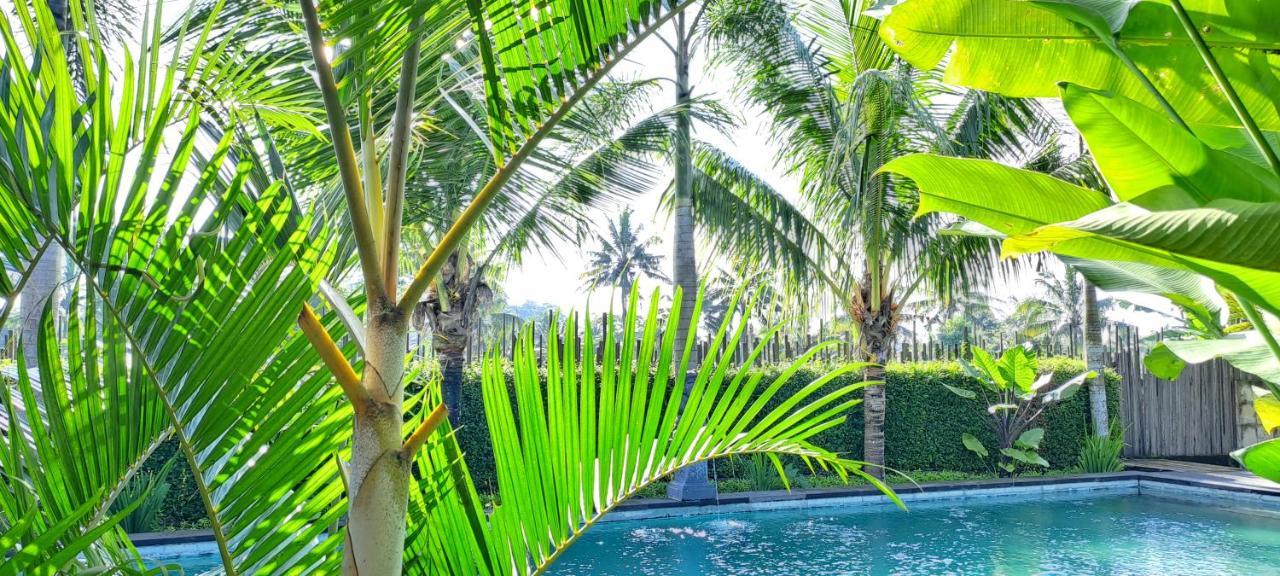 Galang Hari Villa Ubud Kültér fotó