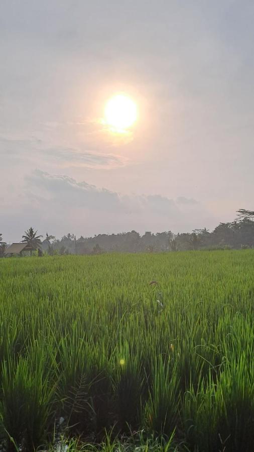 Galang Hari Villa Ubud Kültér fotó