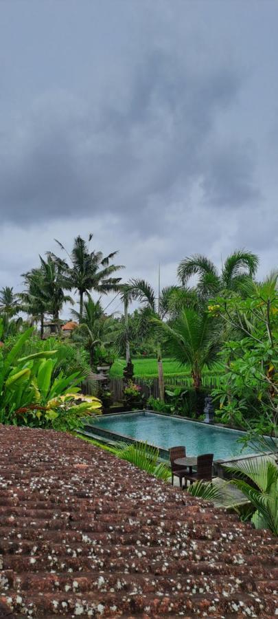 Galang Hari Villa Ubud Kültér fotó