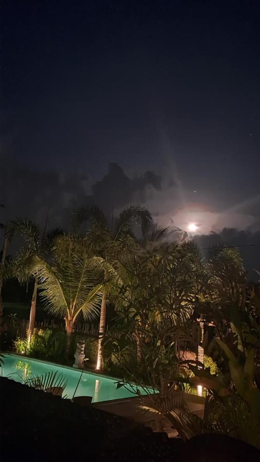 Galang Hari Villa Ubud Kültér fotó