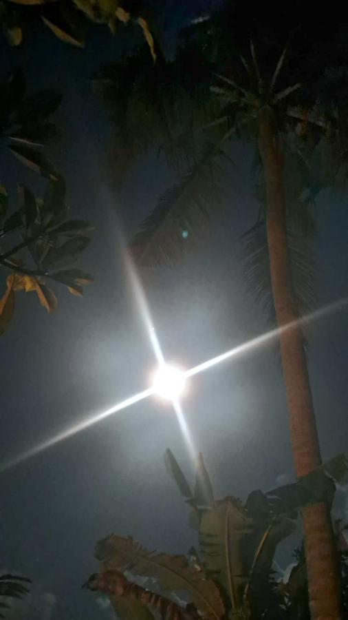 Galang Hari Villa Ubud Kültér fotó