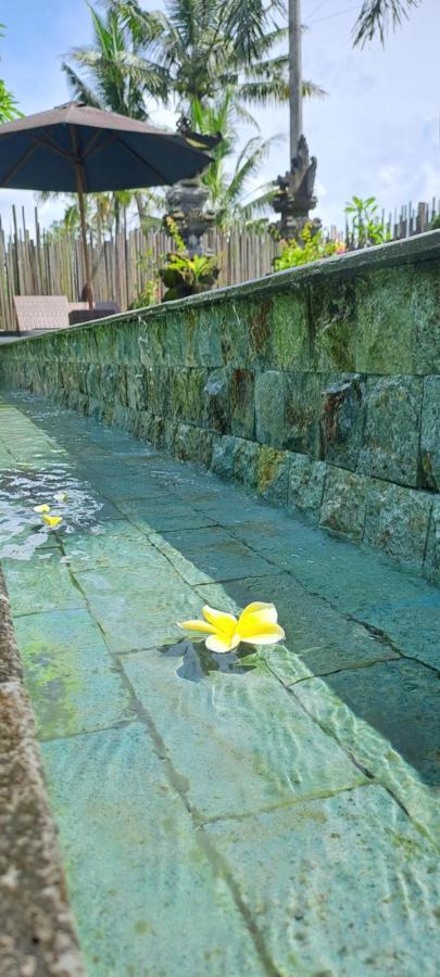 Galang Hari Villa Ubud Kültér fotó