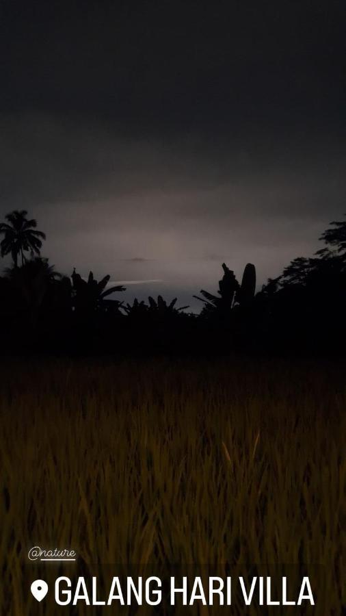 Galang Hari Villa Ubud Kültér fotó