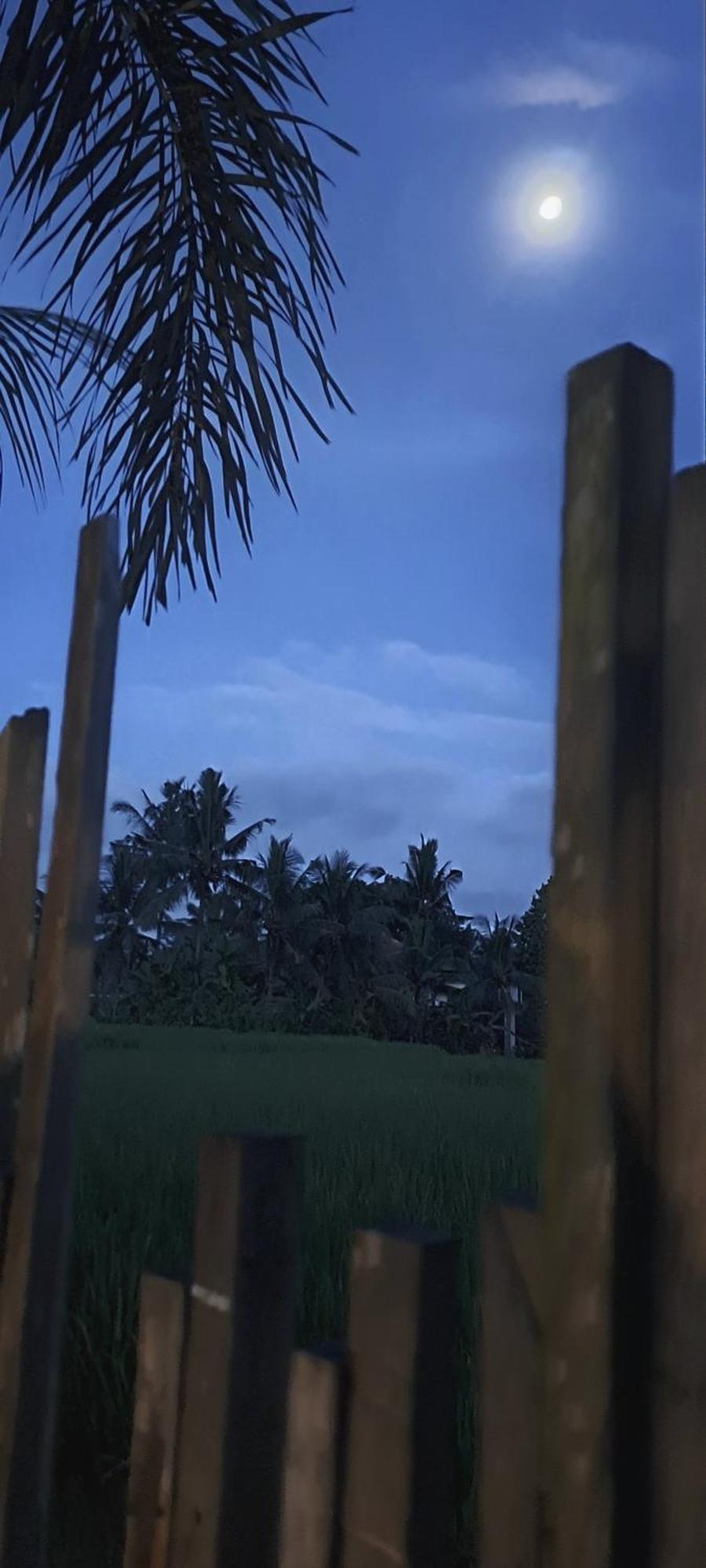 Galang Hari Villa Ubud Kültér fotó