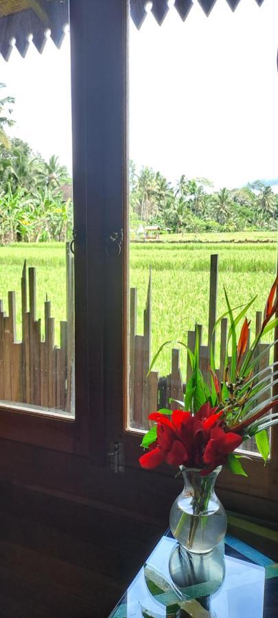 Galang Hari Villa Ubud Kültér fotó