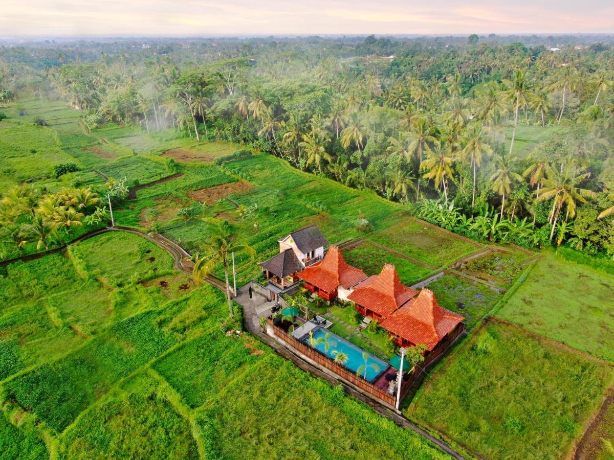 Galang Hari Villa Ubud Kültér fotó