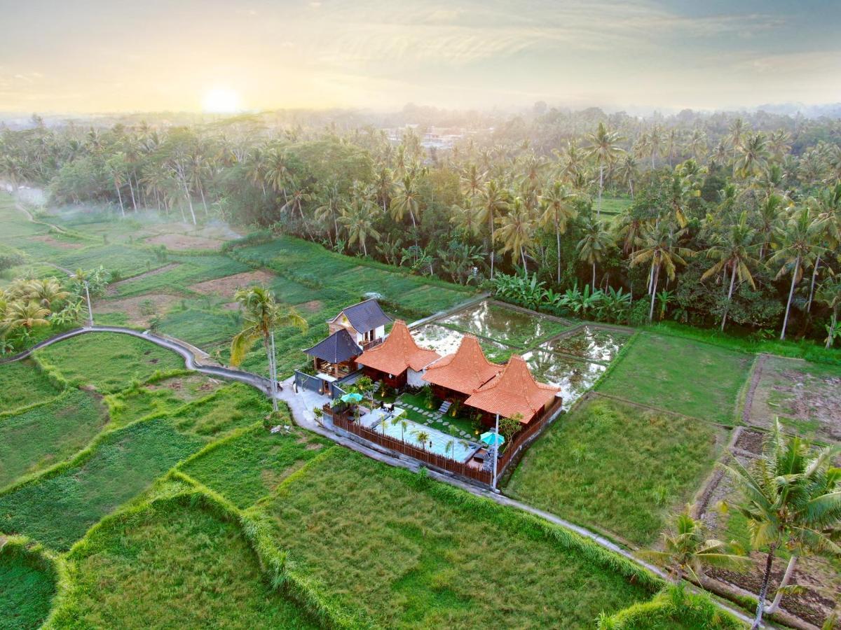 Galang Hari Villa Ubud Kültér fotó